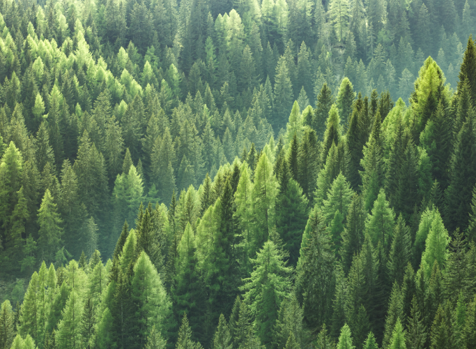 Key Environmental Performance Benefits: